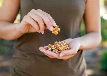 Research finds consuming walnuts during pregnancy significantly improved child neurodevelopmental outcomes at age two