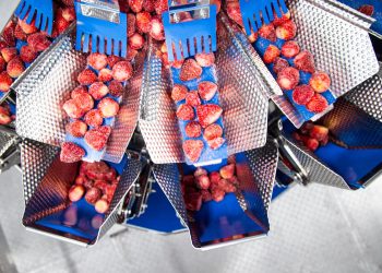 Ishida weighing consistency helps increase production capacity at AgroAguiar