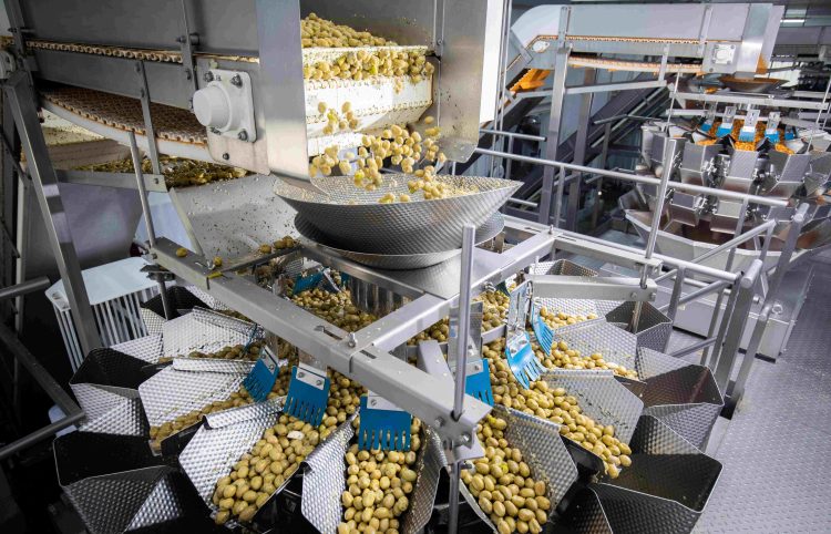 ISHIDA ACCURACY AND RELIABILITY OPTIMISE PRODUCTIVITY AND ELIMINATE BREAKDOWNS FOR OLIVE PRODUCER